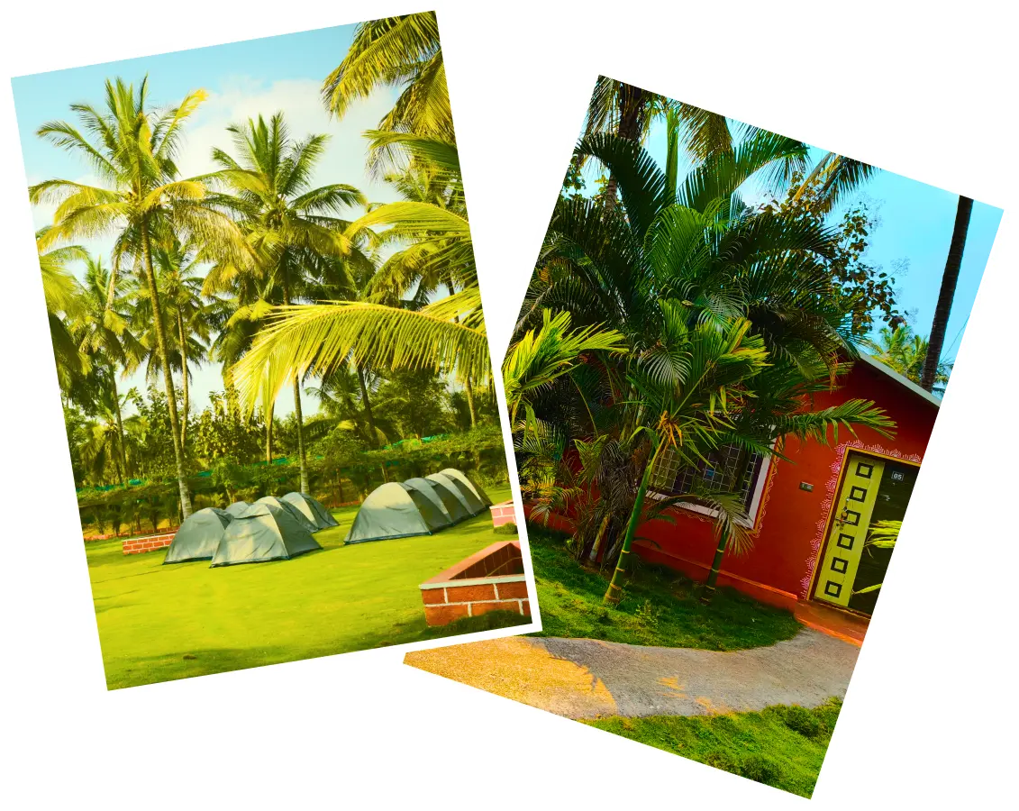 Homable Resort Intro